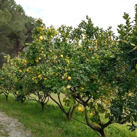 Elbadamare - Casa Pergola *