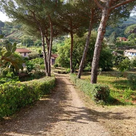 Prázdninový dům Elbadamare - Casa Pergola